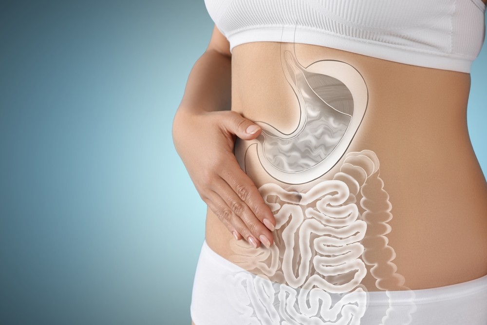 The Importance of Gut Health in Overall Wellness