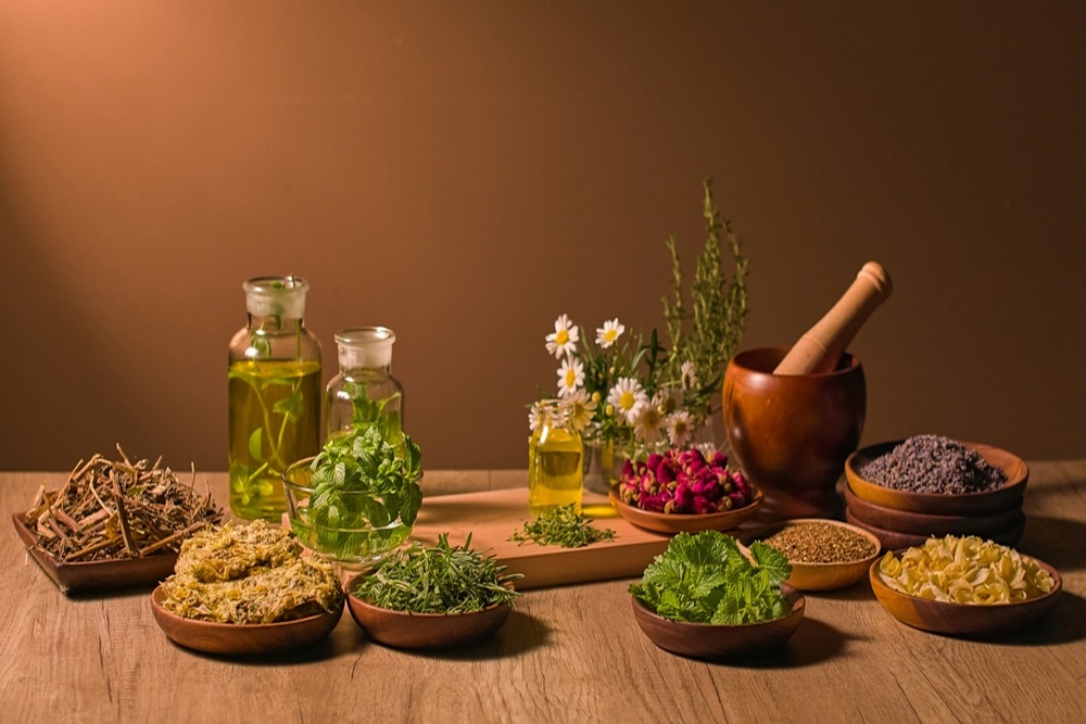 When Herbal Medicine Becomes Part of a Personalized Wellness Plan